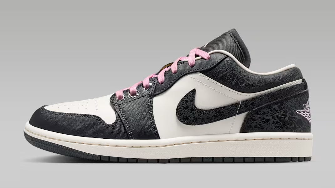 Air Jordan 1 Low SE Anthracite Sail Coconut Milk Iced Carmine Womens Sneakers II0595-001