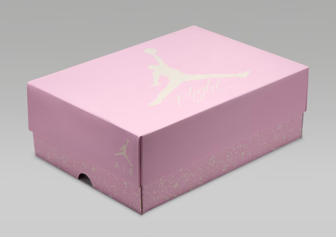 Air Jordan 4 Iced Carmine 10