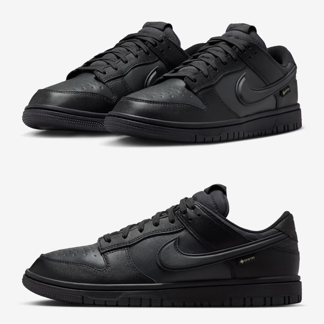 Nike Dunk Low Gore Tex Black Anthracite Off Noir Mens Shoes HQ2053-001